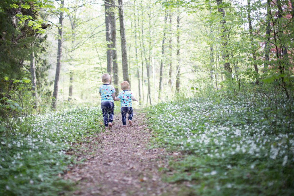 syskonfotografering