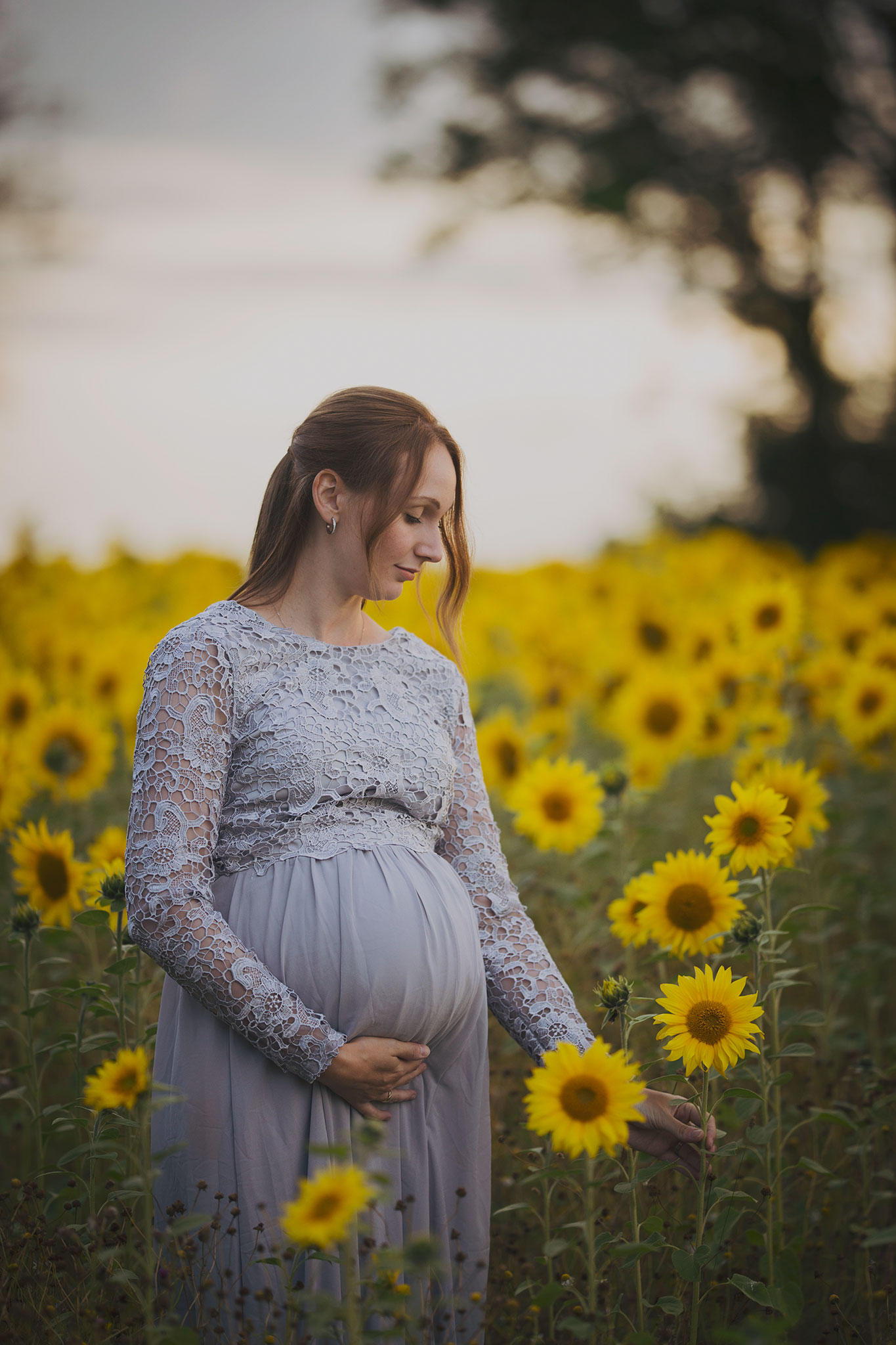 gravidfotografering