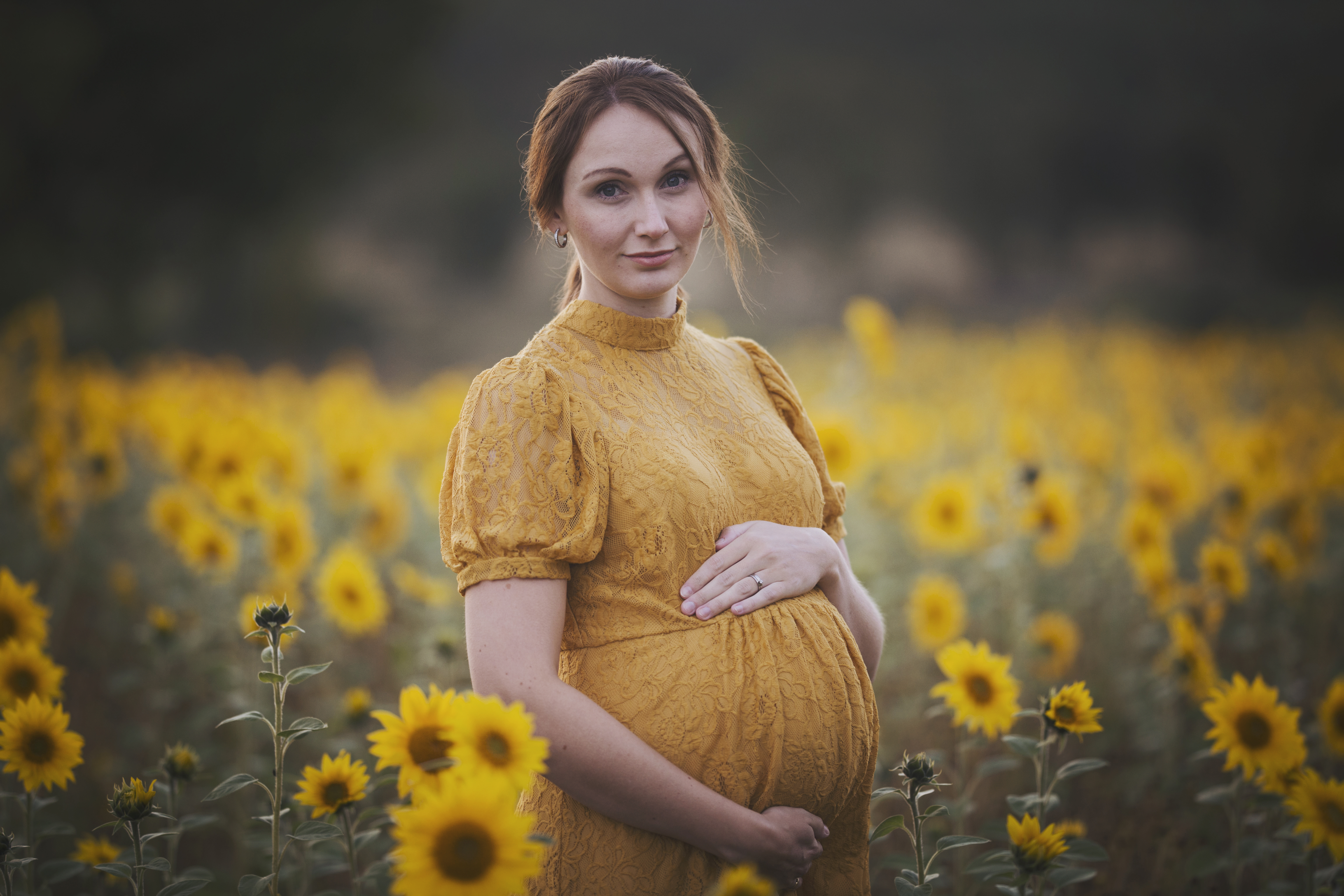 gravidfotografering vid solrosor